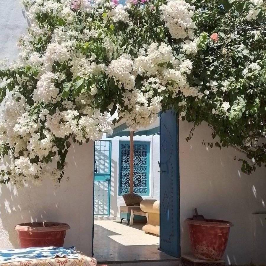 Djerbahouch Villa Midoun Esterno foto