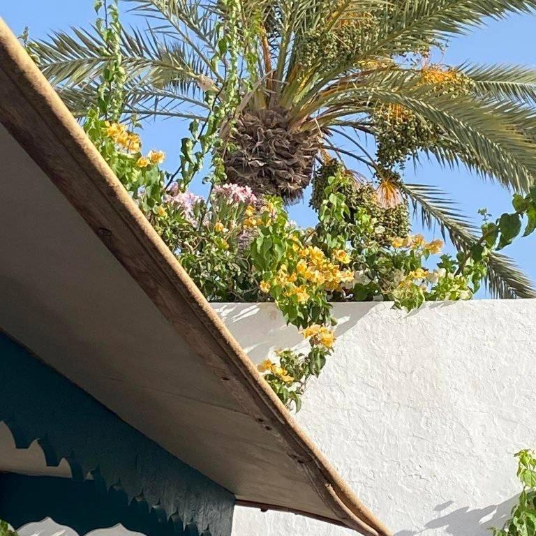 Djerbahouch Villa Midoun Esterno foto